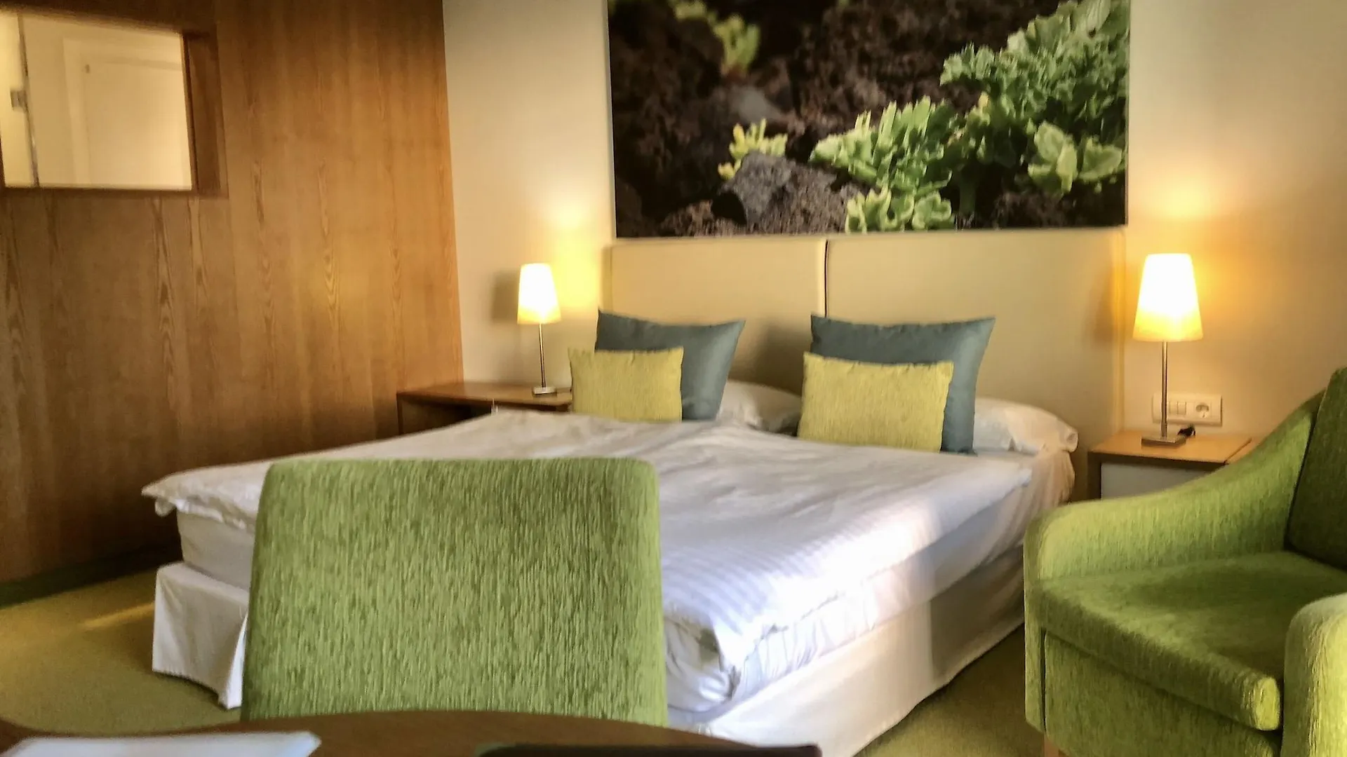 Hotel Tigaiga 拉克鲁斯 4*,  西班牙