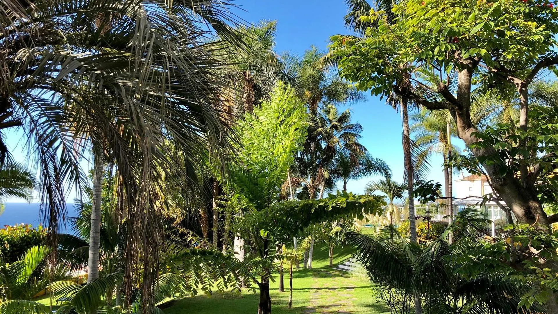 Hotel Tigaiga 拉克鲁斯